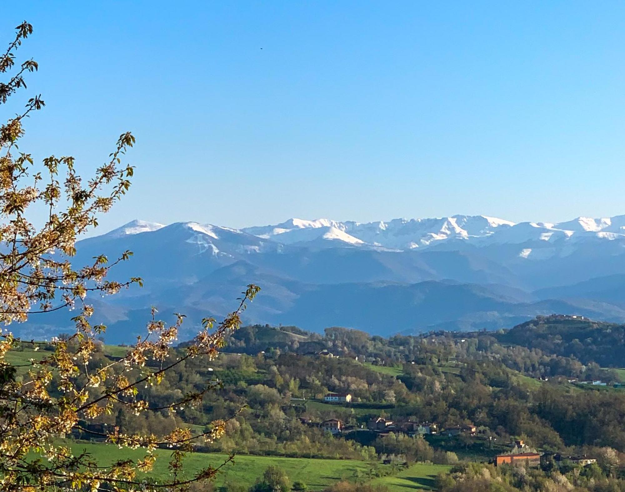 Villa Just Langhe Casa Barolo à Novello Extérieur photo
