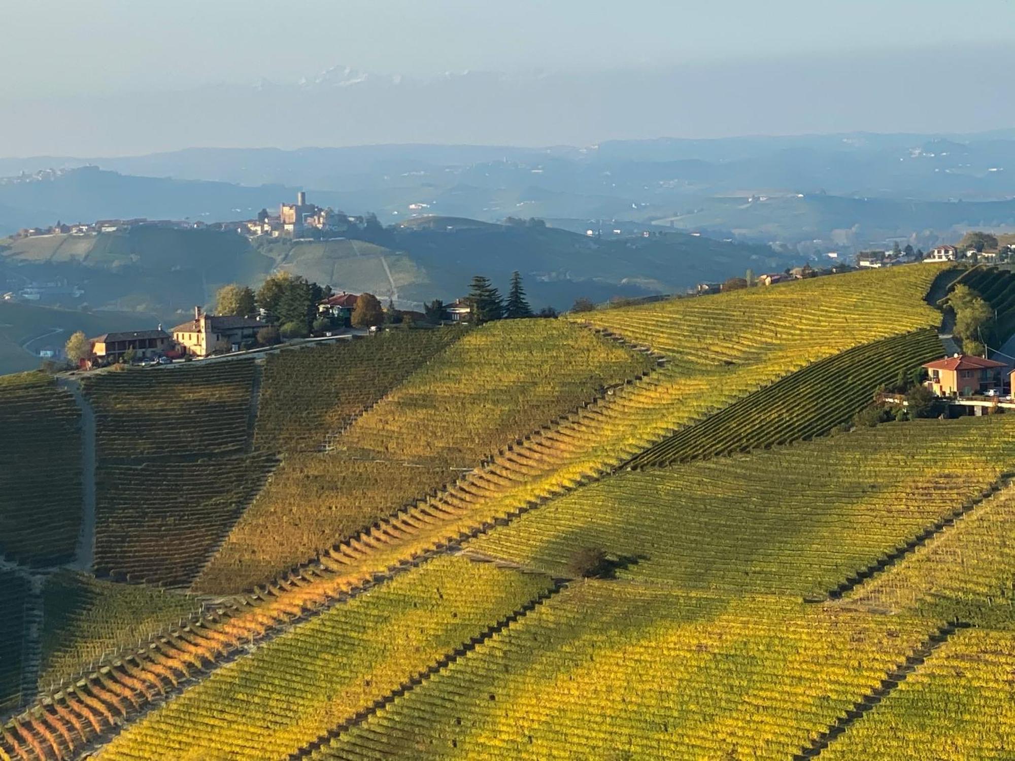 Villa Just Langhe Casa Barolo à Novello Extérieur photo