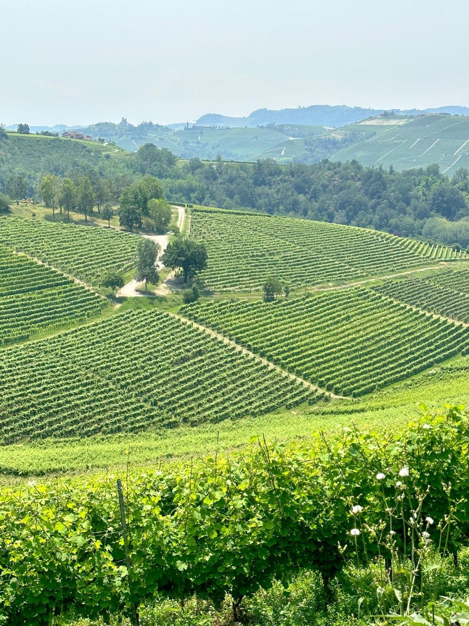 Villa Just Langhe Casa Barolo à Novello Extérieur photo