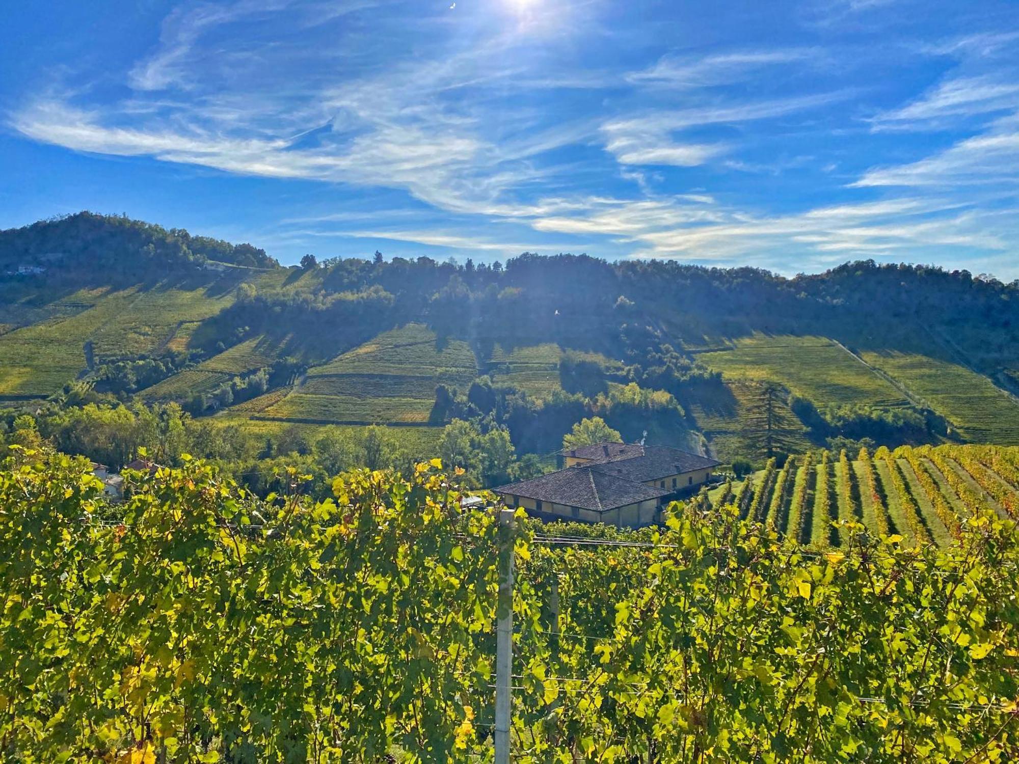 Villa Just Langhe Casa Barolo à Novello Extérieur photo